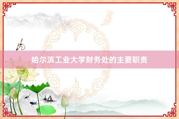 哈尔滨工业大学财务处的主要职责