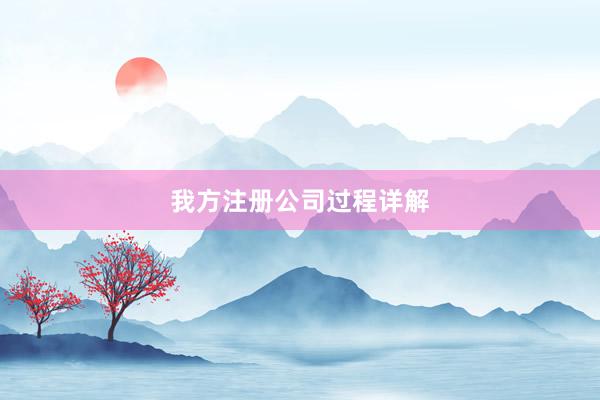 我方注册公司过程详解